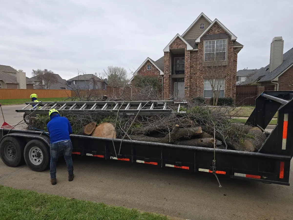 Expert Tree Fertilization with proper safety equipment in Yulee